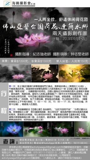 佛山亞藝公園荷花、逢簡水鄉兩天攝影團