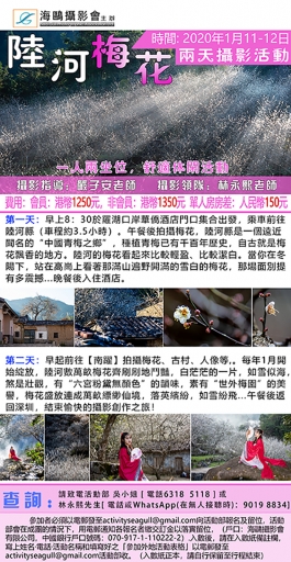 陸河梅花兩天攝影團