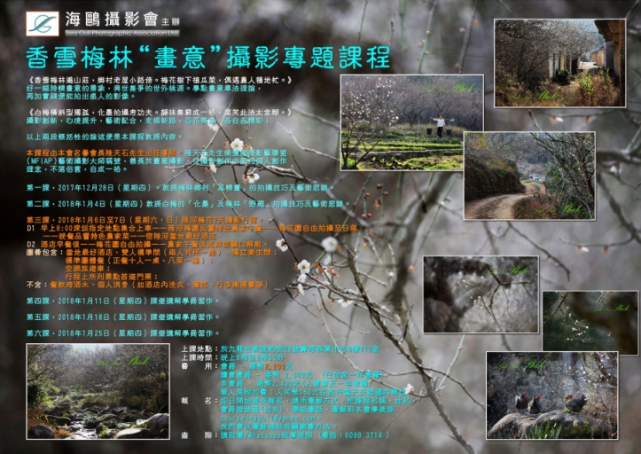香雪梅林“畫意"攝影專題課程